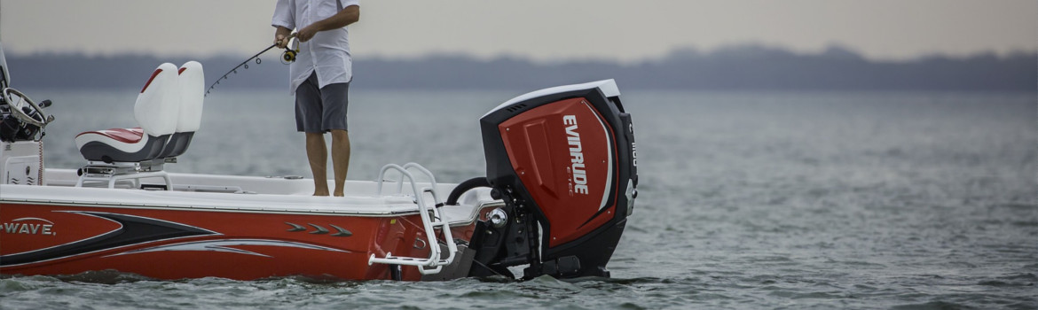 2019 Evinrude for sale in 3A Marine Service, Hingham, Massachusetts